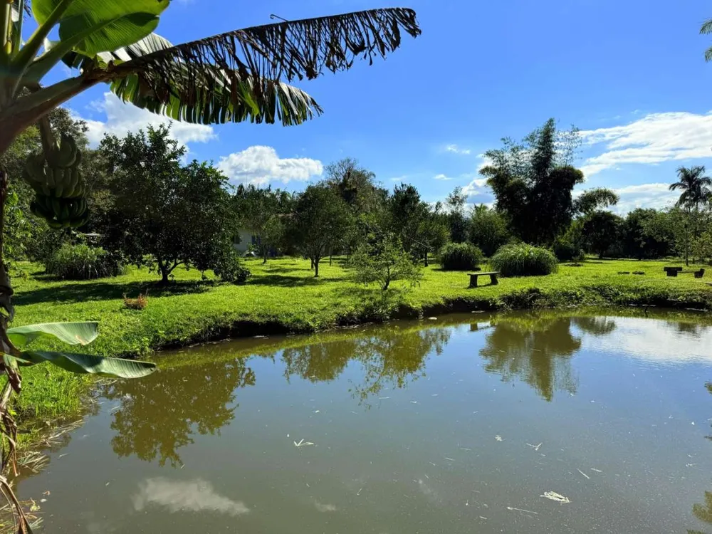 Chácara, 5000 m² - Foto 6