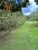 Chácara, 2 hectares - Foto 4