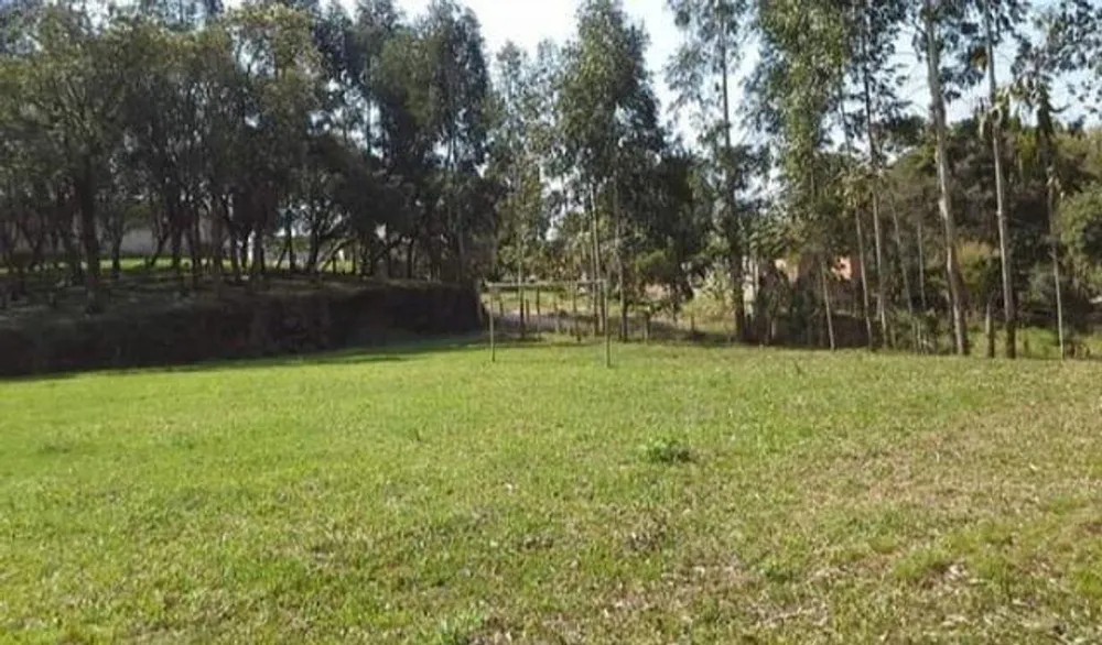 Chácara, 8291 m² - Foto 12