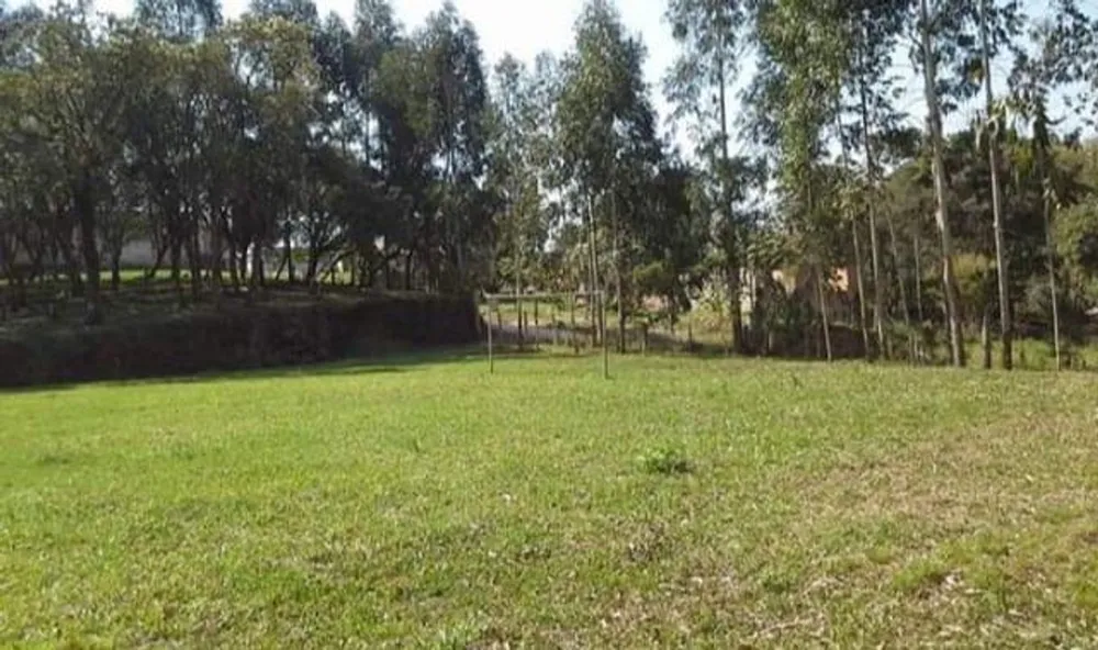 Chácara, 8291 m² - Foto 3