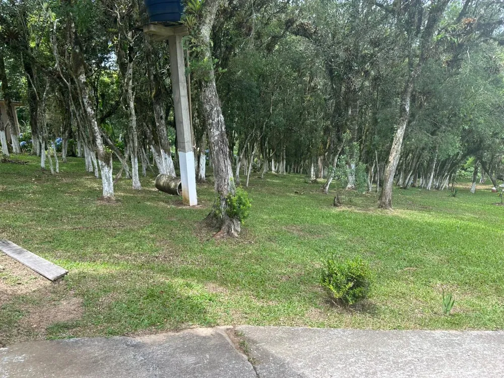 Chácara, 3 quartos, 8000 m² - Foto 1