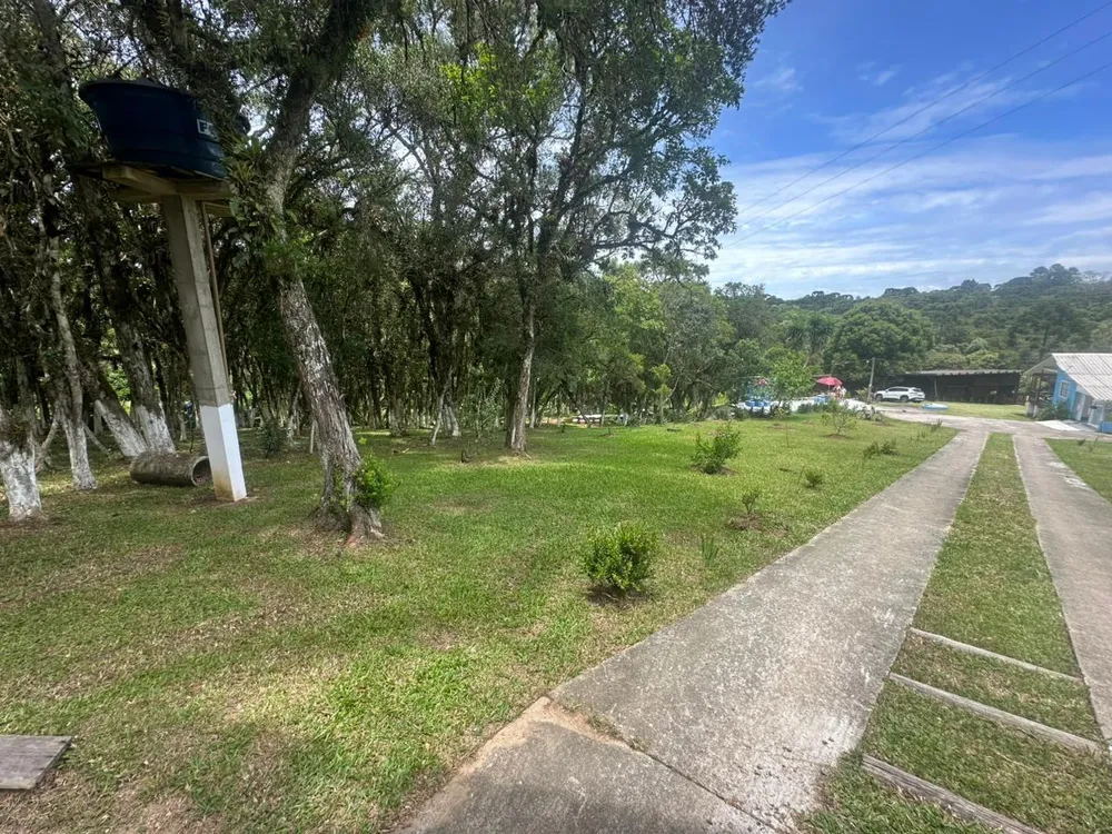 Chácara, 3 quartos, 8000 m² - Foto 3