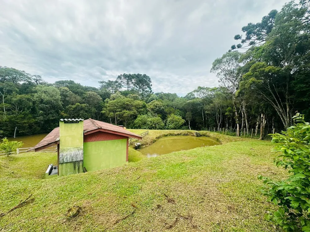 Chácara, 3 quartos, 8000 m² - Foto 4