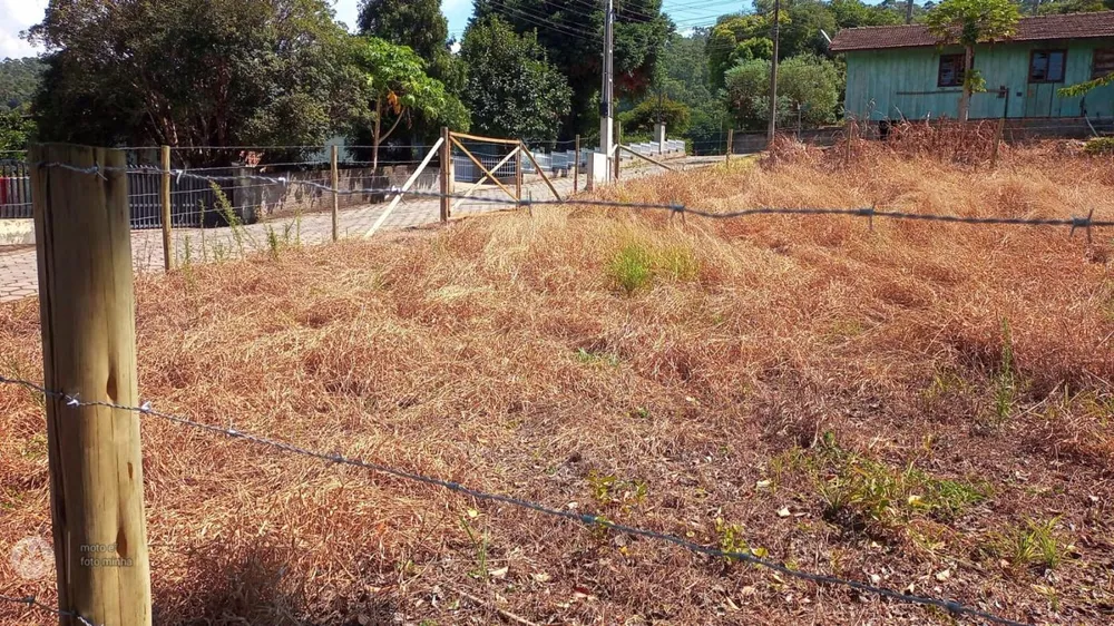 Terreno, 630 m² - Foto 3