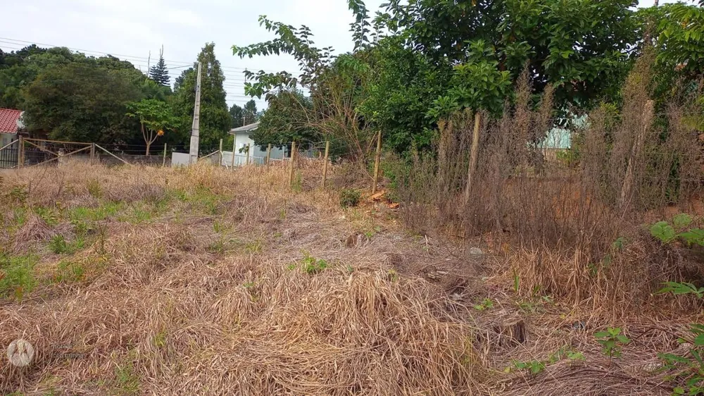 Terreno, 630 m² - Foto 5
