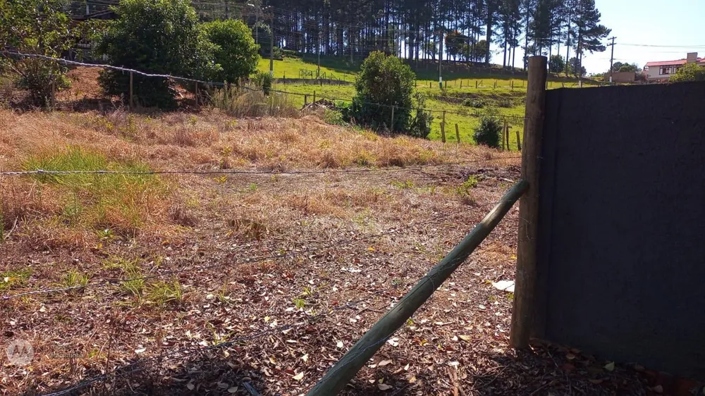 Terreno, 630 m² - Foto 8
