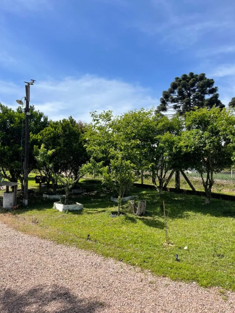 Chácara, 10000 m² - Foto 1