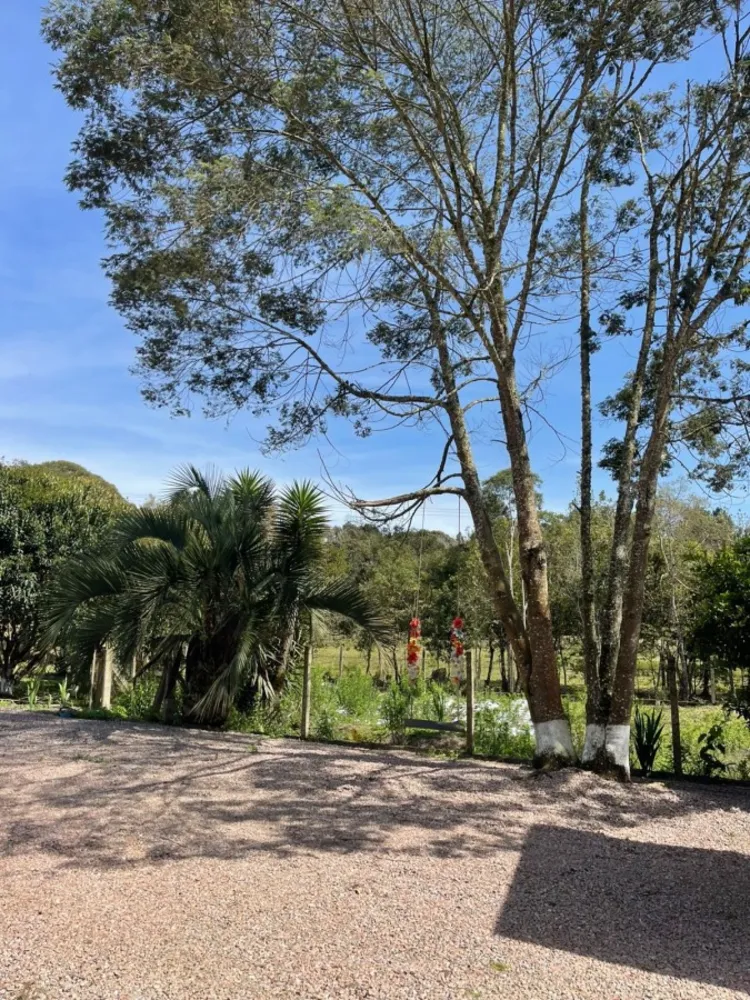Chácara, 10000 m² - Foto 5