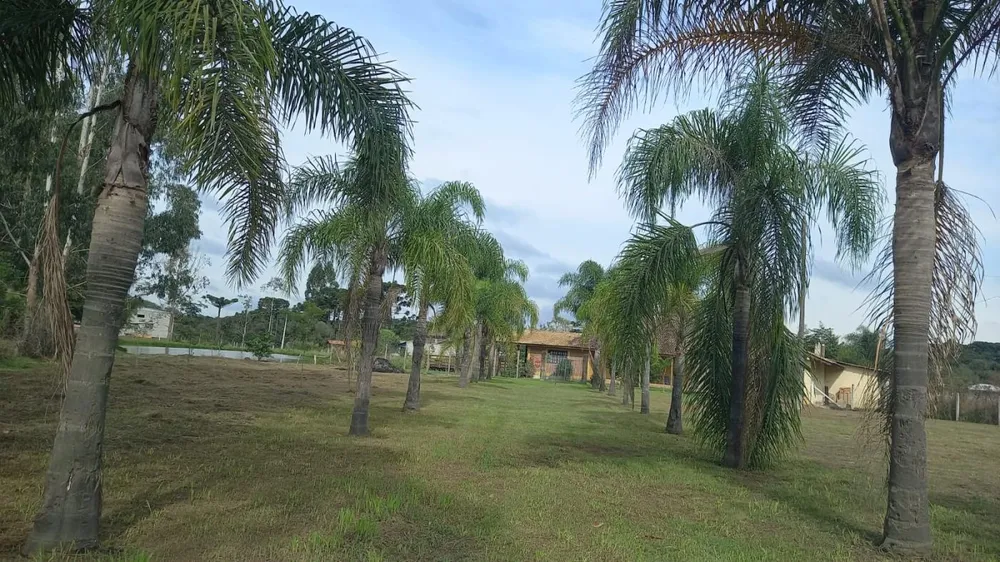 Chácara, 2 hectares - Foto 7