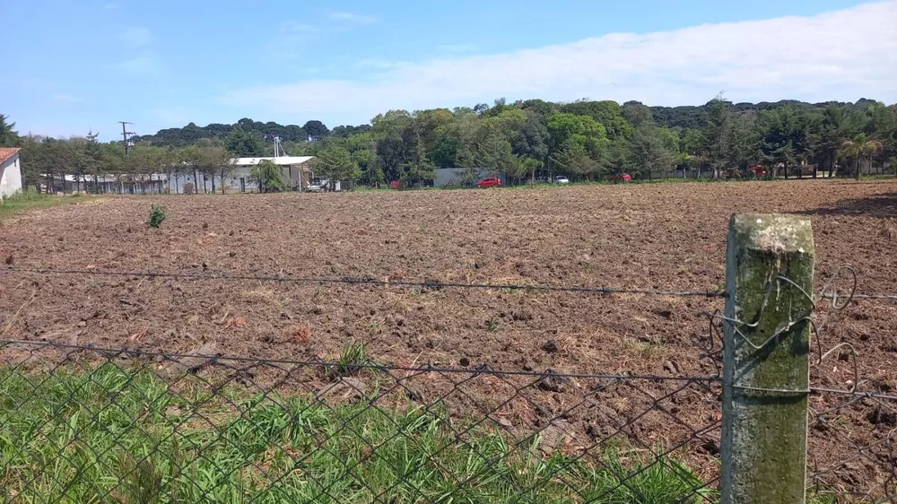 Chácara, 2 hectares - Foto 3