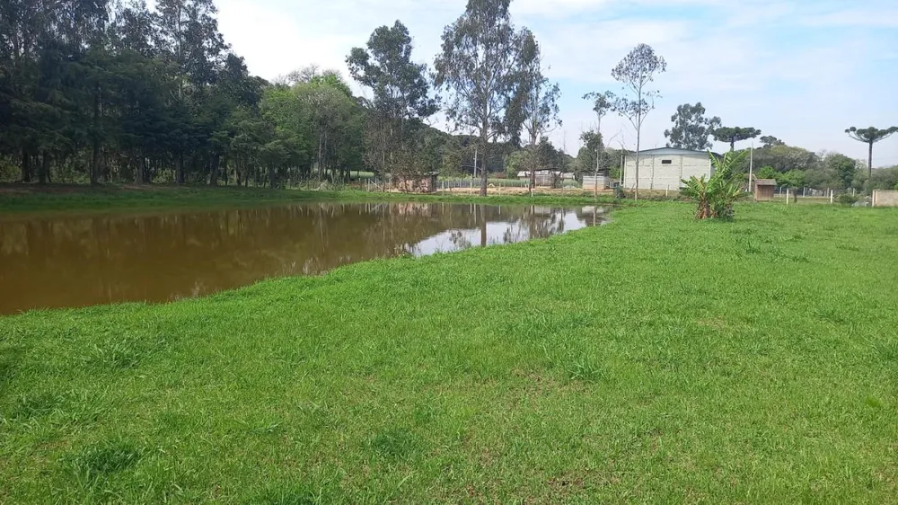 Chácara, 2 hectares - Foto 4