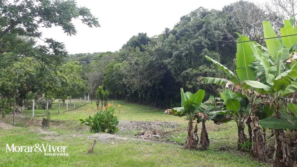 Chácara, 3 quartos, 8 hectares - Foto 7