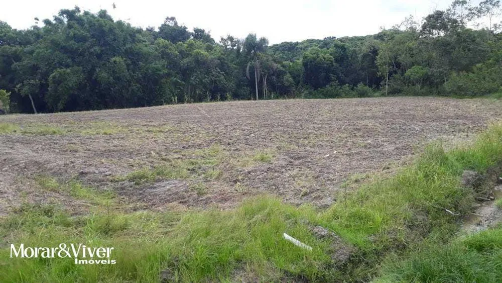 Chácara, 3 quartos, 8 hectares - Foto 24