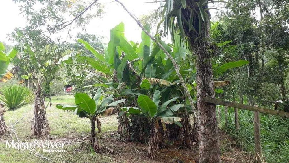 Chácara, 3 quartos, 8 hectares - Foto 8