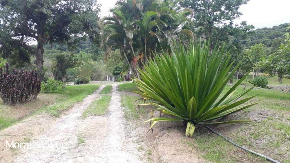 Chácara à venda com 3 quartos, 84750m² - Foto 9