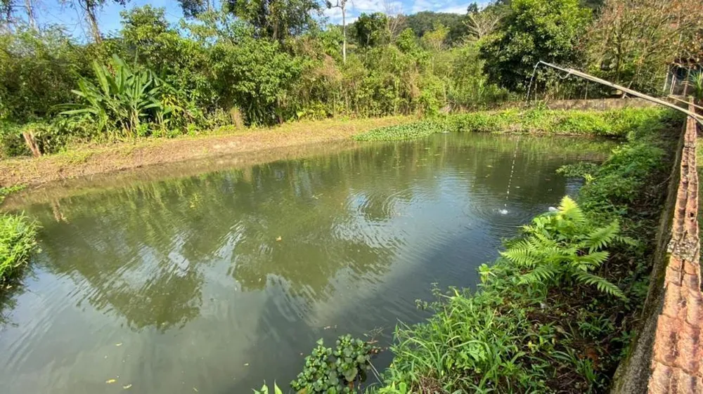 Chácara, 3 quartos, 1 hectares - Foto 15