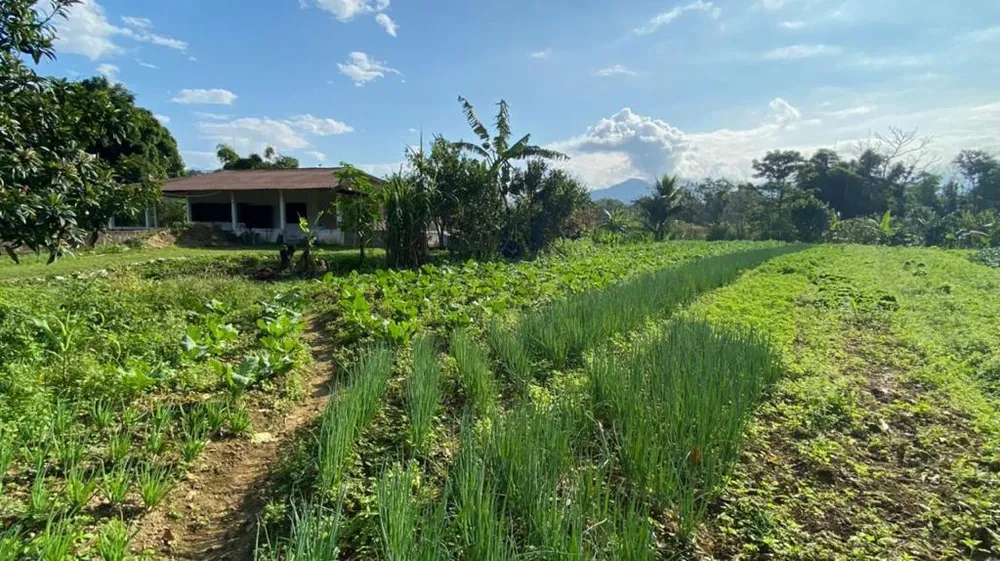 Chácara, 3 quartos, 1 hectares - Foto 9
