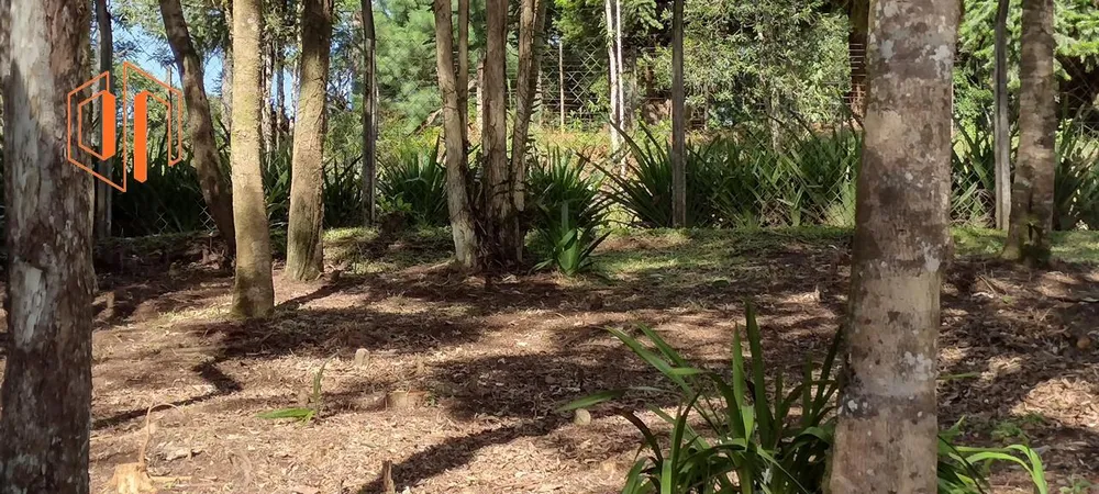 Chácara, 6000 m² - Foto 5