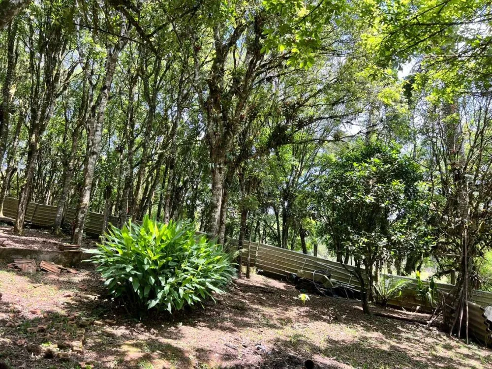 Chácara, 5050 m² - Foto 8