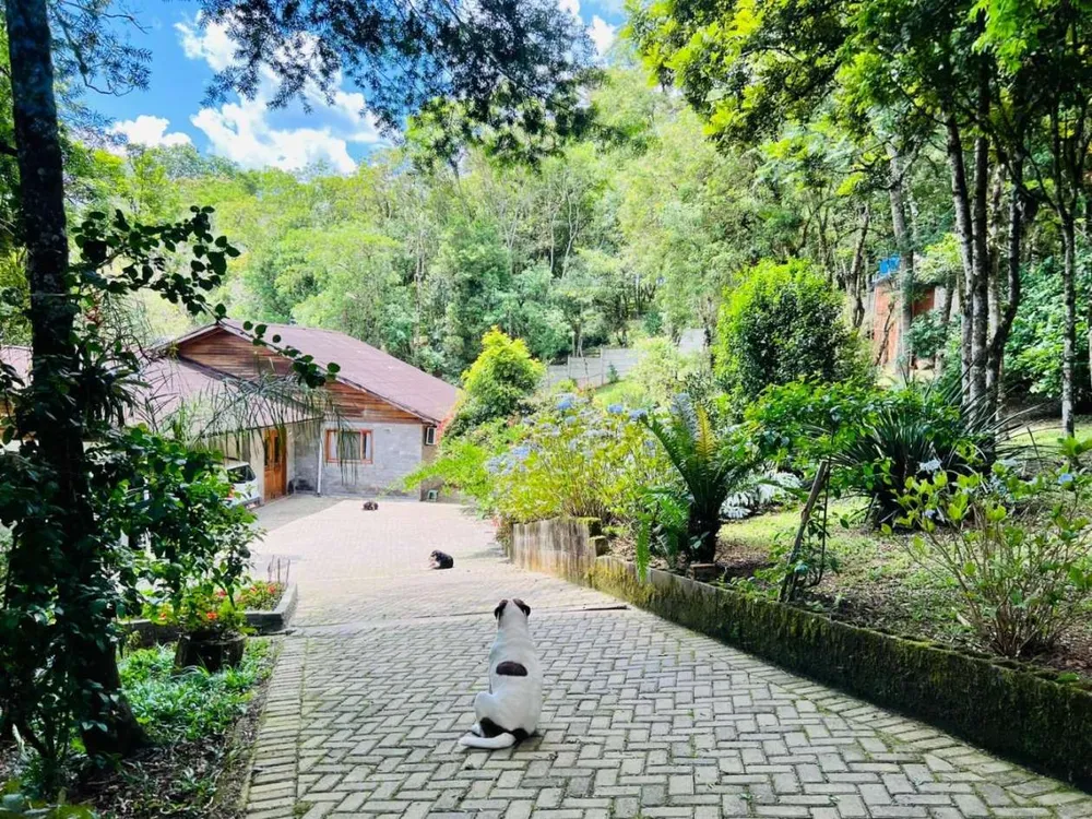 Chácara, 5050 m² - Foto 6