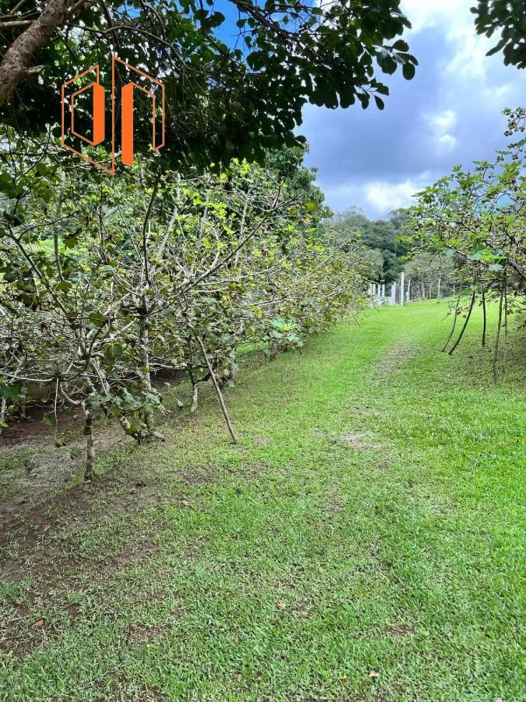 Chácara, 2 hectares - Foto 4