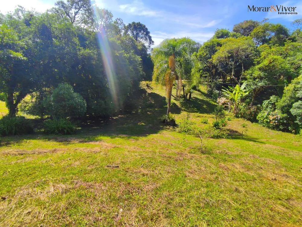 Chácara, 2 quartos, 7724 m² - Foto 6