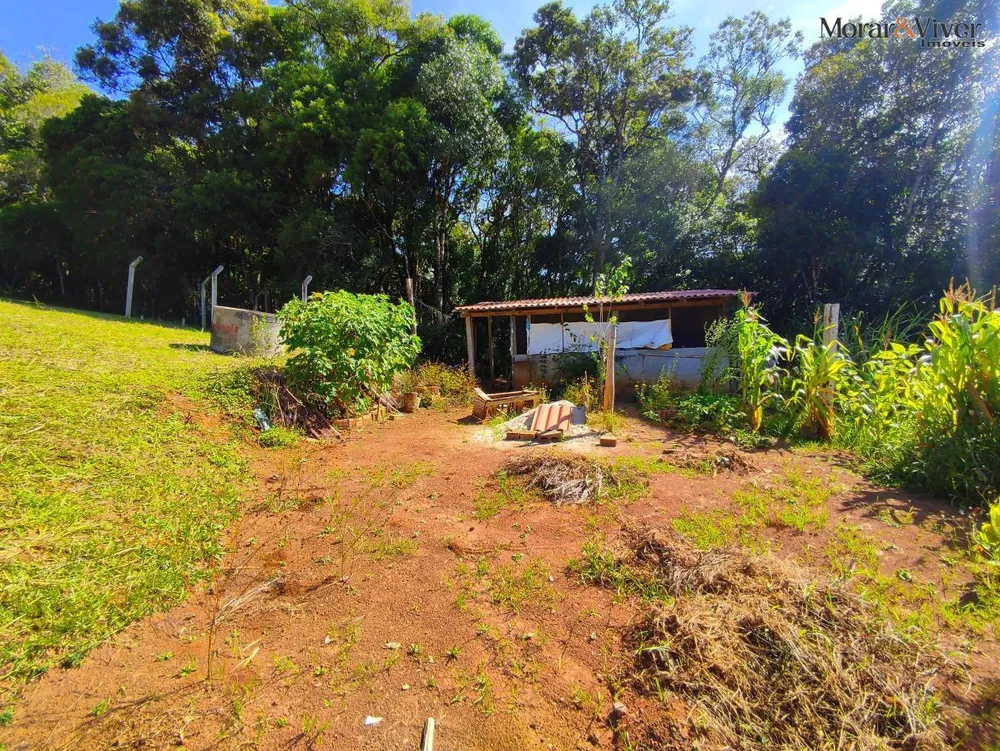 Chácara, 2 quartos, 7724 m² - Foto 4