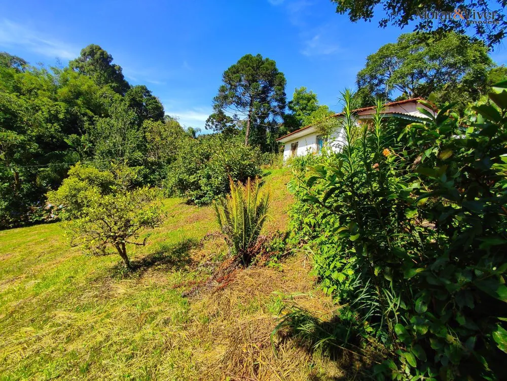 Chácara, 2 quartos, 7724 m² - Foto 5