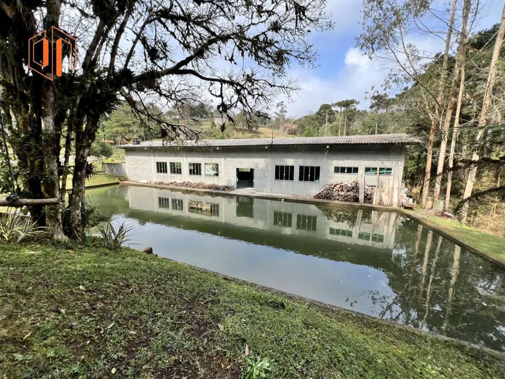 Chácara, 4000 m² - Foto 7