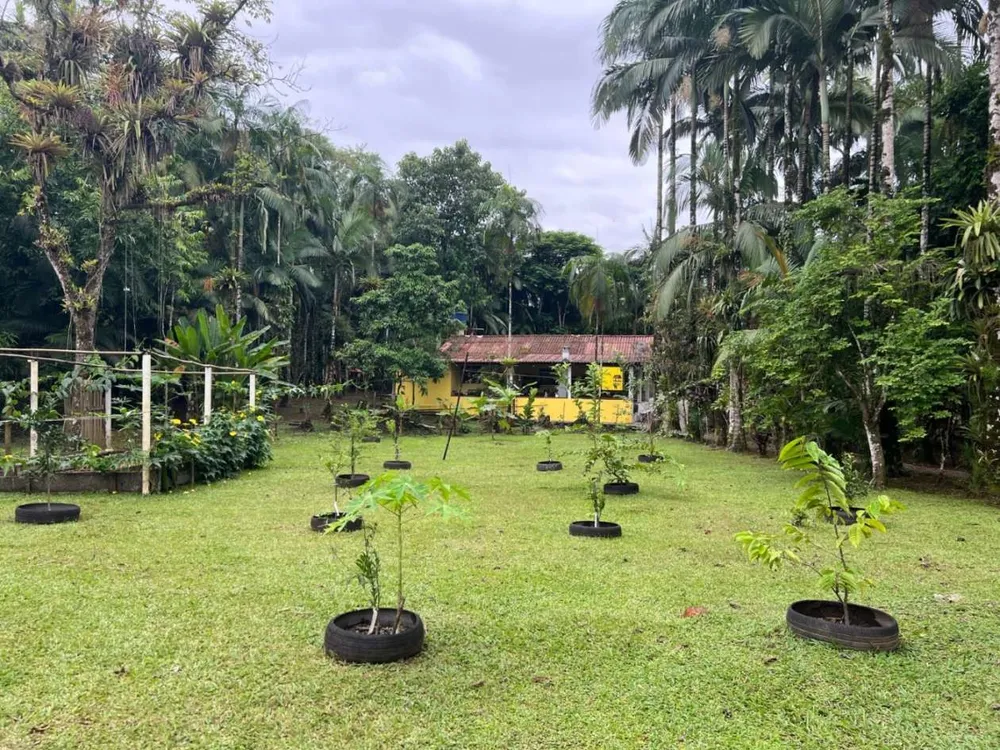 Chácara, 2 hectares - Foto 2