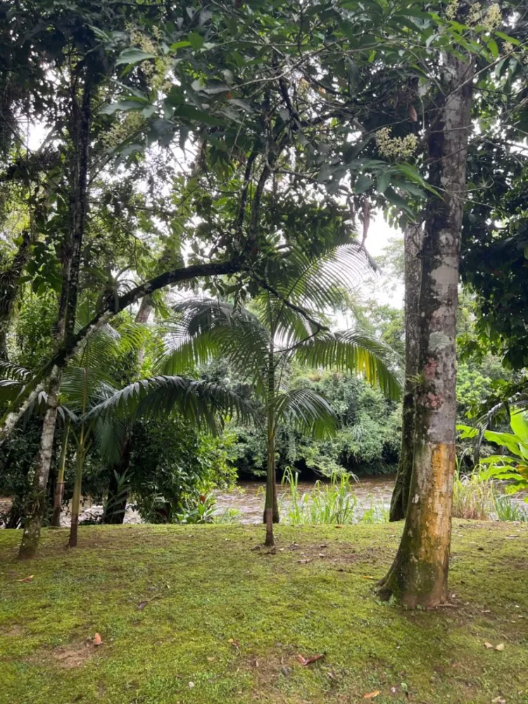 Chácara, 2 hectares - Foto 4