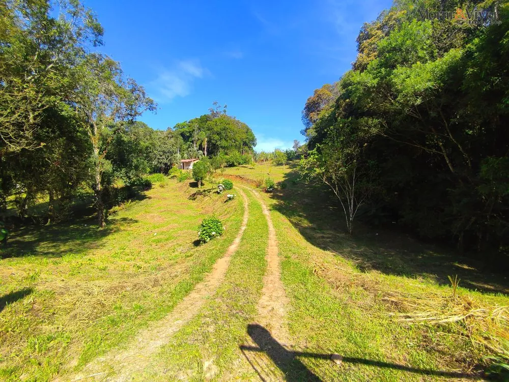 Fazenda à venda com 2 quartos, 7724m² - Foto 7