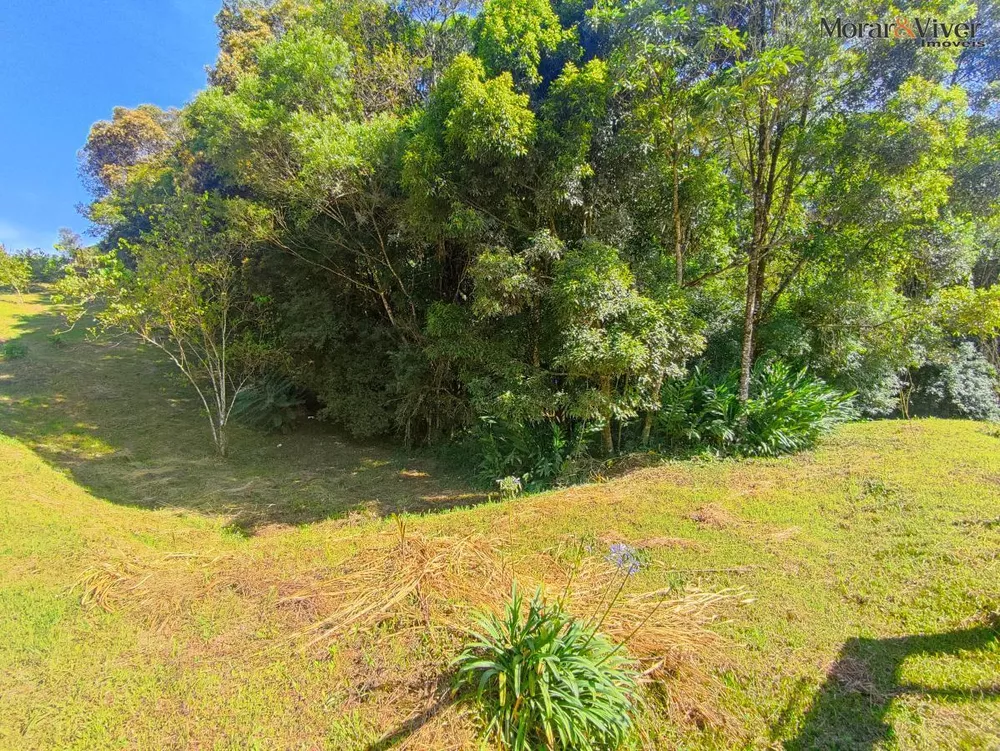 Fazenda à venda com 2 quartos, 7724m² - Foto 5