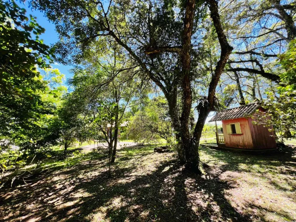 Chácara, 6000 m² - Foto 4