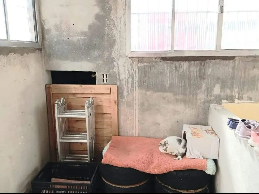 Casa de Condomínio, 3 quartos - Foto 7