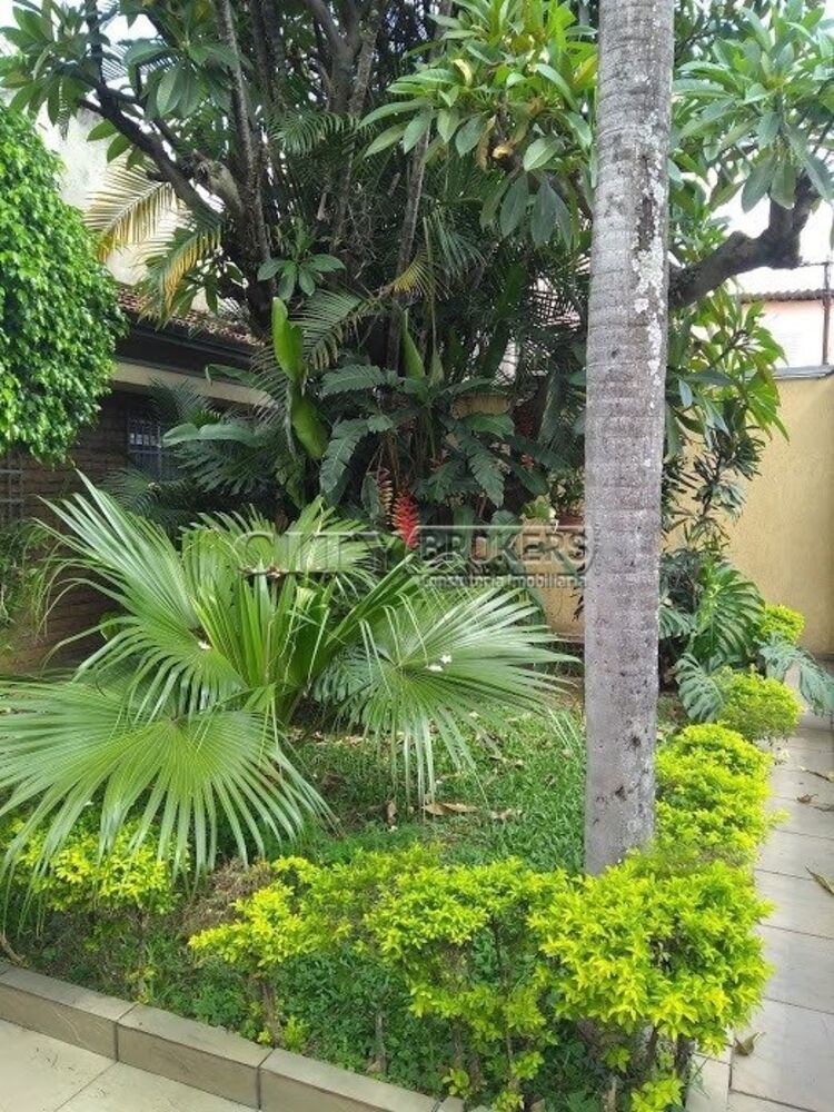 Terreno à venda - Foto 1