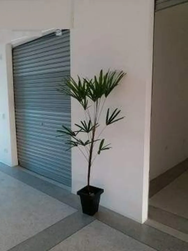Loja-Salão, 700 m² - Foto 6