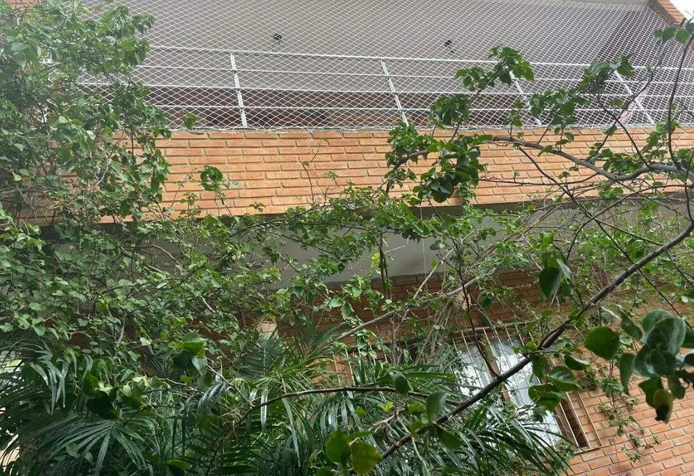 Casa, 5 quartos, 250 m² - Foto 5