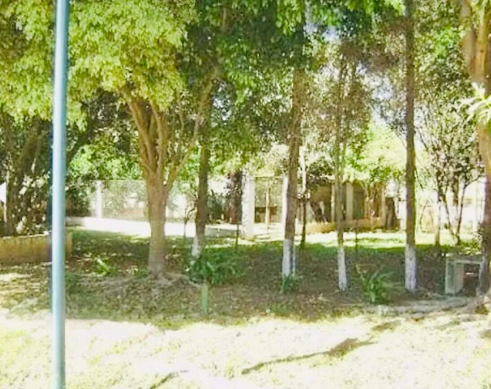 Loja-Salão, 3500 m² - Foto 9