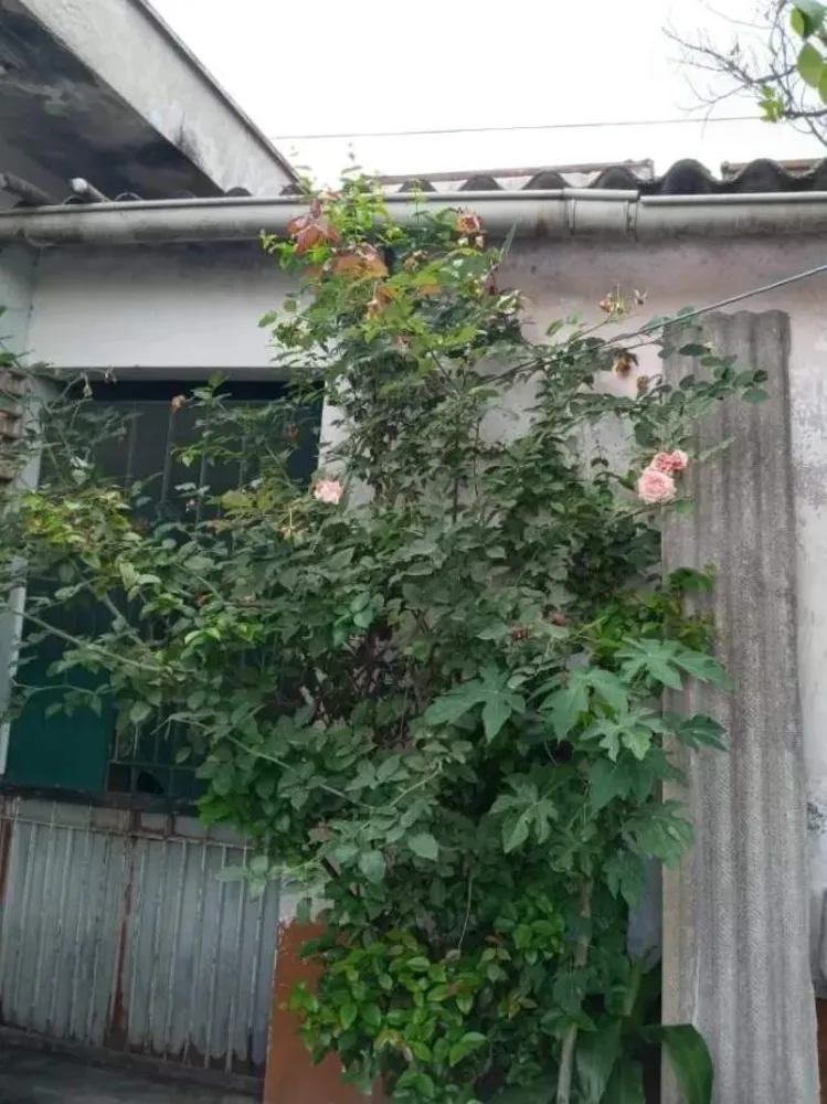 Casa, 2 quartos, 220 m² - Foto 2