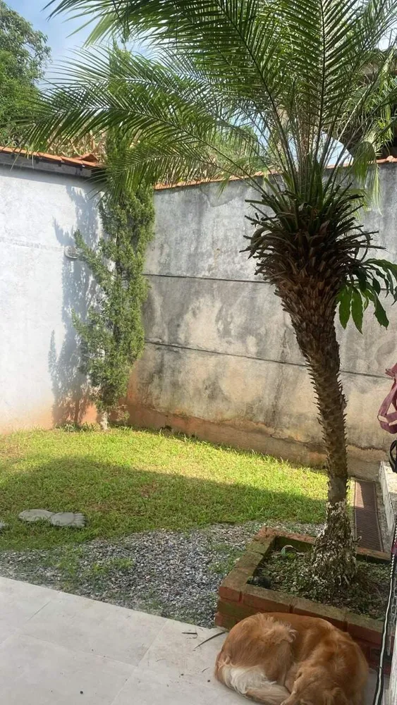 Chácara, 3 quartos, 1300 m² - Foto 3