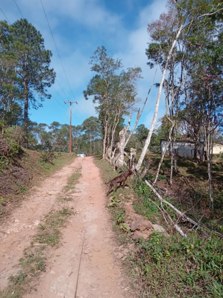 Chácara à venda com 2 quartos - Foto 1