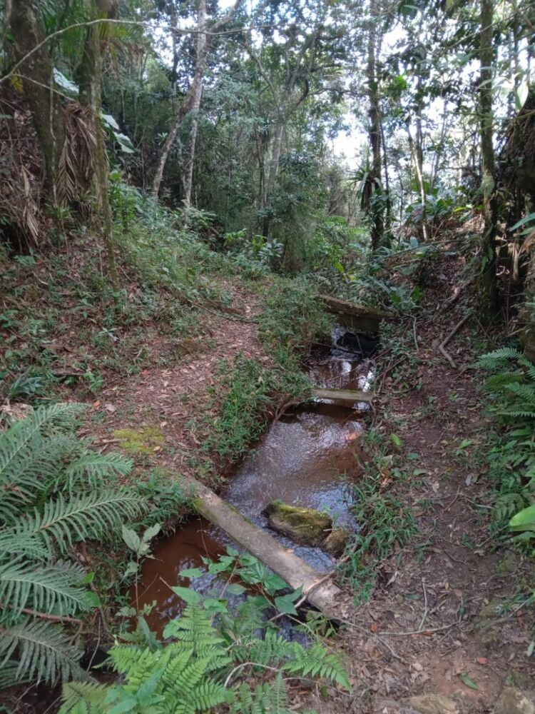 Chácara à venda com 2 quartos - Foto 2