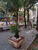 Apartamento, 3 quartos - Foto 21