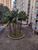 Apartamento, 3 quartos - Foto 19