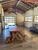 Chácara, 5 quartos, 8900 m² - Foto 5