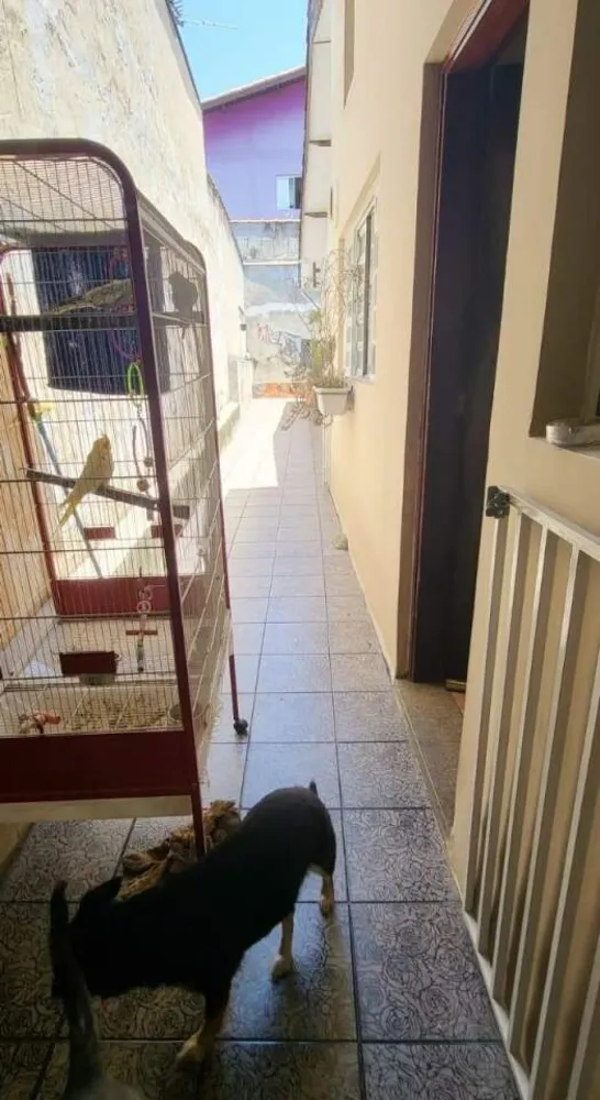 Casa, 4 quartos, 267 m² - Foto 7