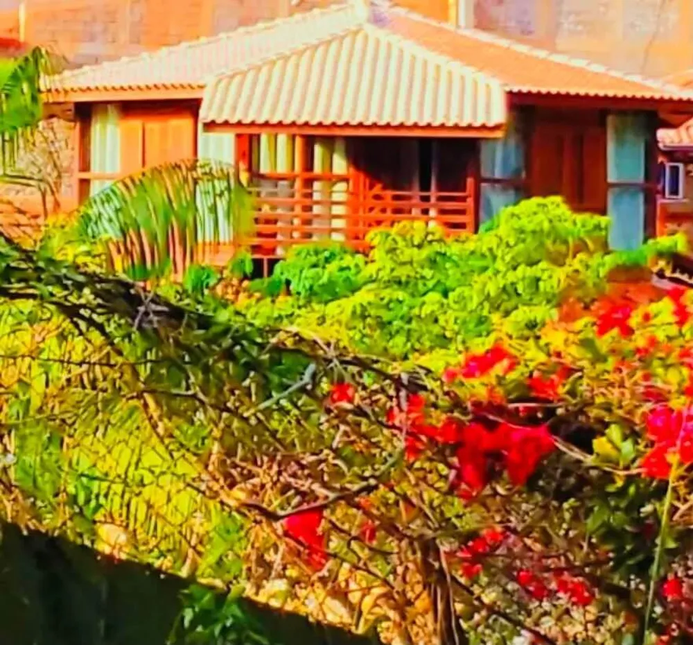 Chácara, 3 quartos, 2000 m² - Foto 11