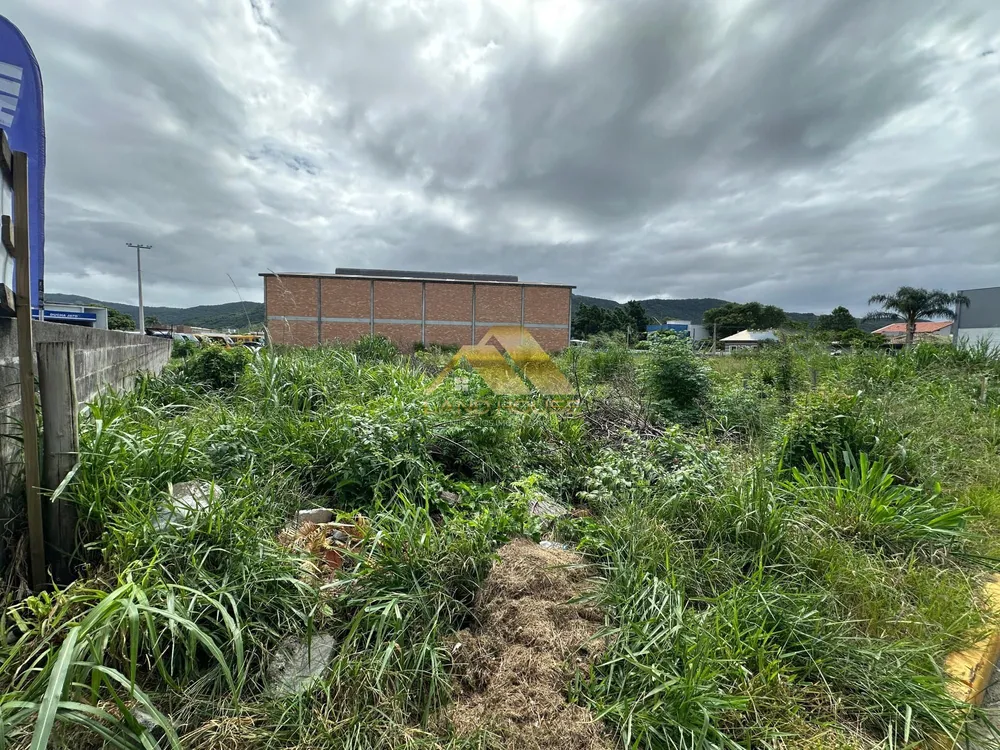 Terreno, 1160 m² - Foto 7