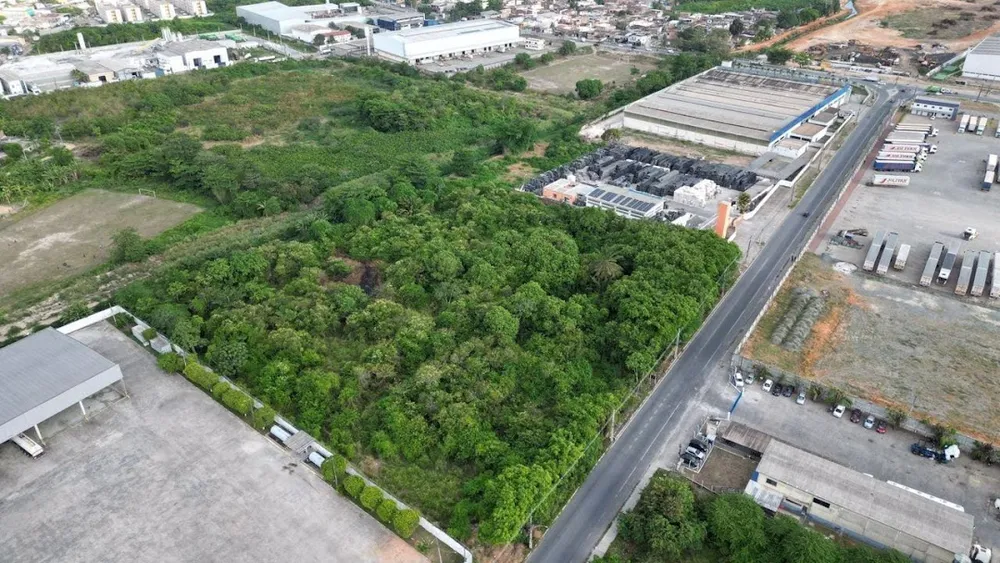 Terreno, 10000 m² - Foto 3